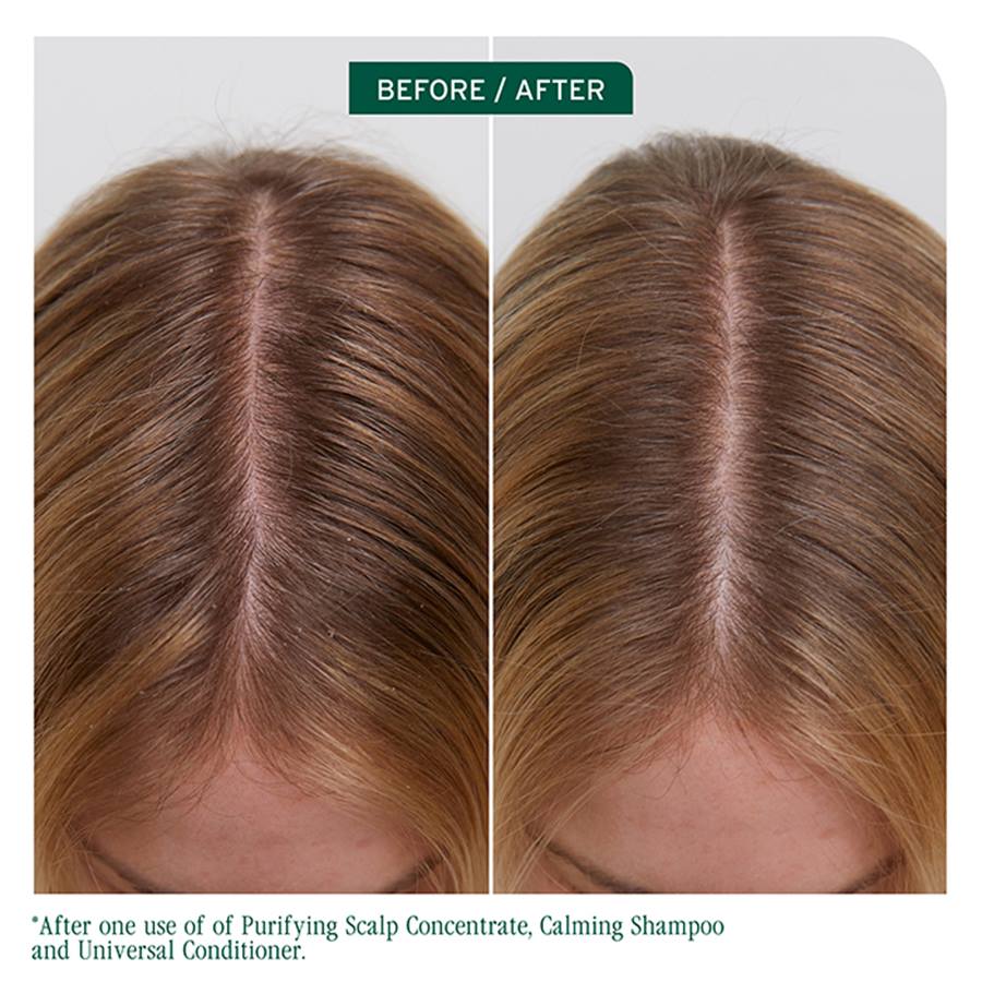 Biolage Scalp Sync Purifying Concentrate (200ml)