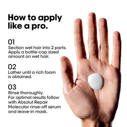 L'Oréal Professionnel Absolut Repair Molecular Sulfate-Free Shampoo & Mask