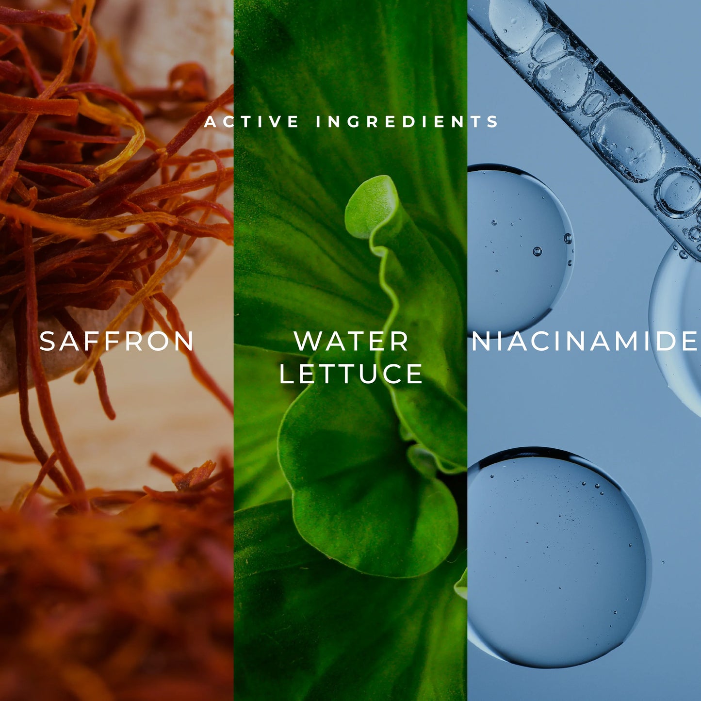 Kanpeki Glass Glow Light - 11 Steps Korean Skincare Facial Kit