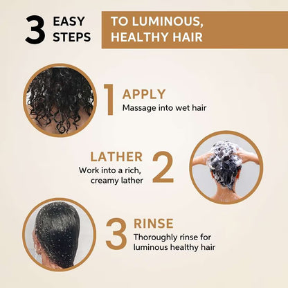 Wella Professionals Oil Reflections Luminous Reveal Shampoo for Dry & Shiny Hair (250 ml)