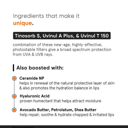 Minimalist SPF 30 Lip Balm (8 g)