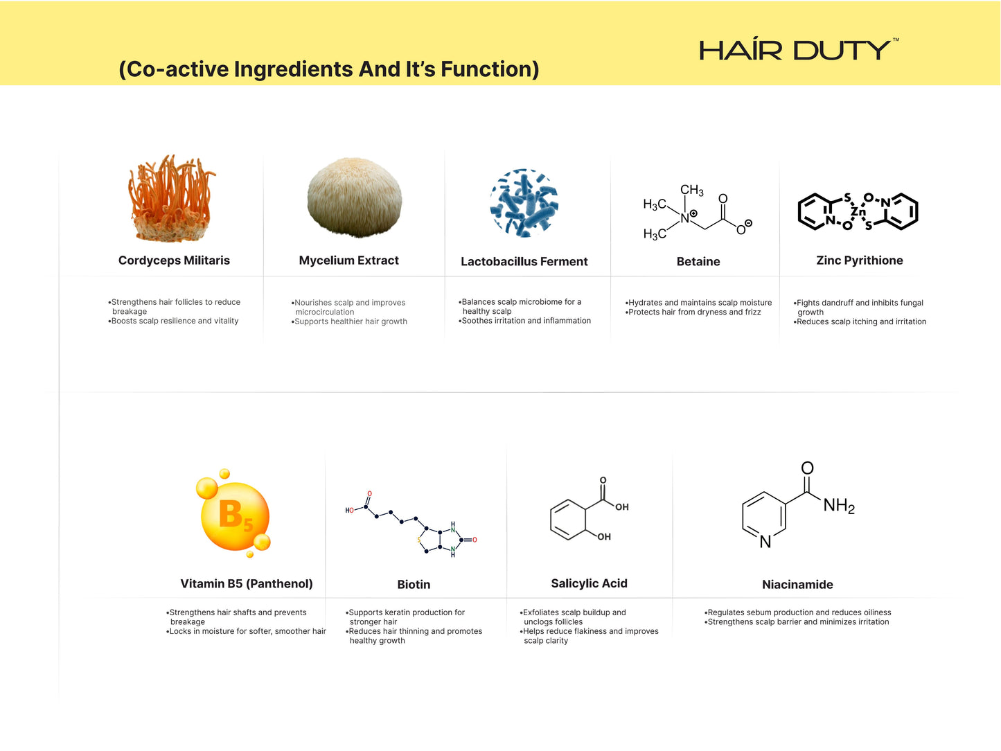 Hair Duty Scalp Detox Shampoo (300ml)