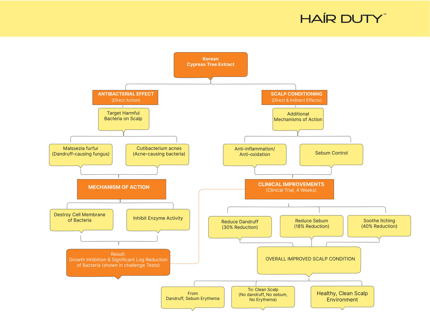 Hair Duty Scalp Detox Shampoo (300ml)