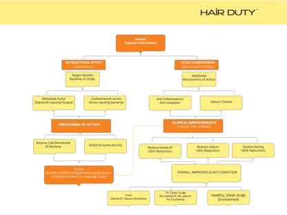 Hair Duty Scalp Detox Shampoo (300ml)