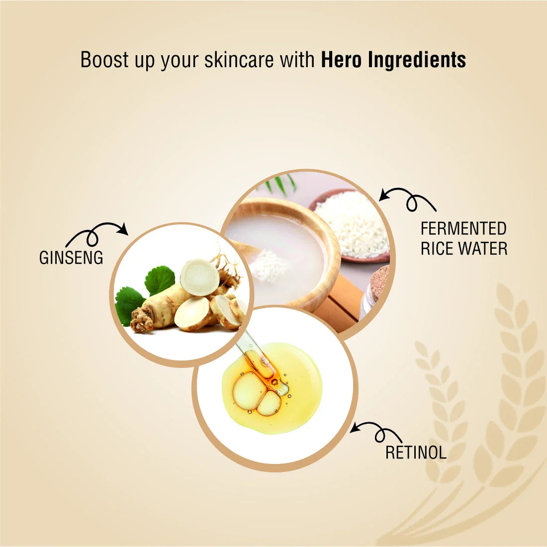 FYC PROFESSIONAL  Korean Glass Skin Rice Water Facial Kit - 5 Pouch