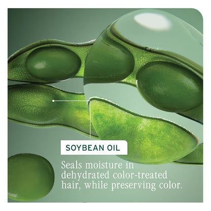 Biolage Professional Color Last Conditioner Extends Day 1 Hair Colour Vibrancy For Upto 40 Washes (100ml)